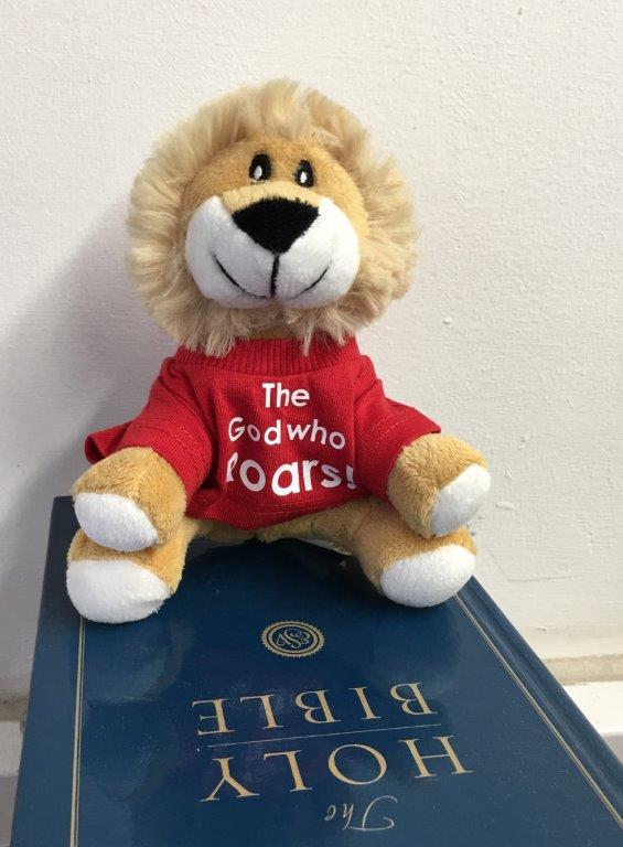 Soft toy lion for the year of 'The God who Speaks'