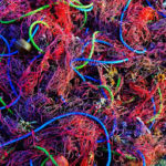 Fishing net on seabed